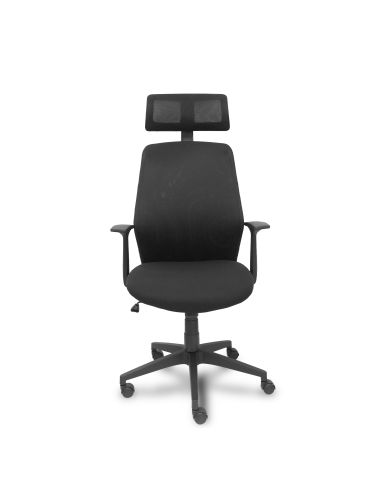 Silla Ergonómica Parolis respaldo con cabecero y asiento