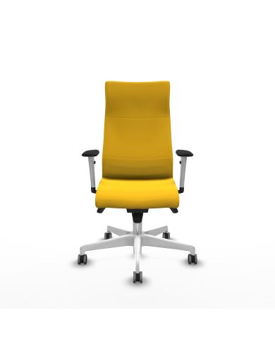 Silla Ergonómica Albacete dirección sincro brazos 1D
