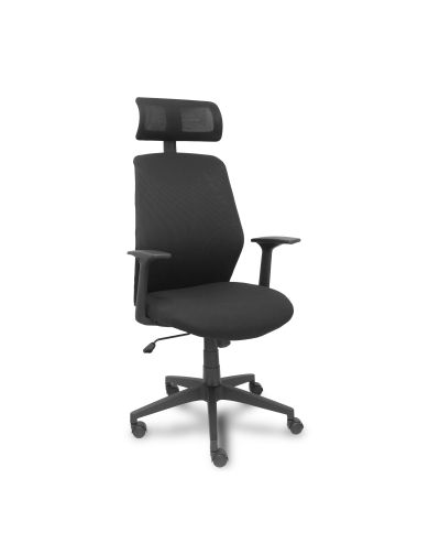 Silla Ergonómica Parolis respaldo con cabecero y asiento